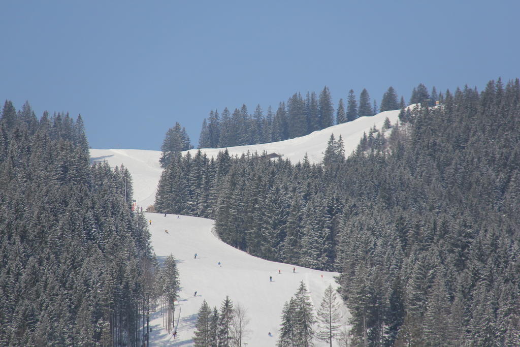 Berggasthof Willy Merkl Haus Spitzingsee Εξωτερικό φωτογραφία